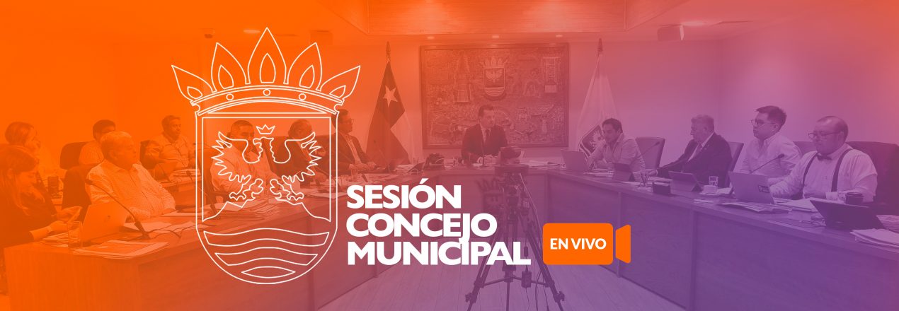 BANNER CONCEJO EN VIVO